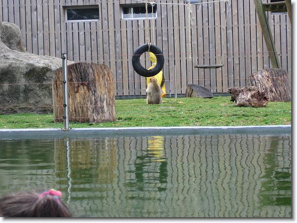 Diapositiva siguiente